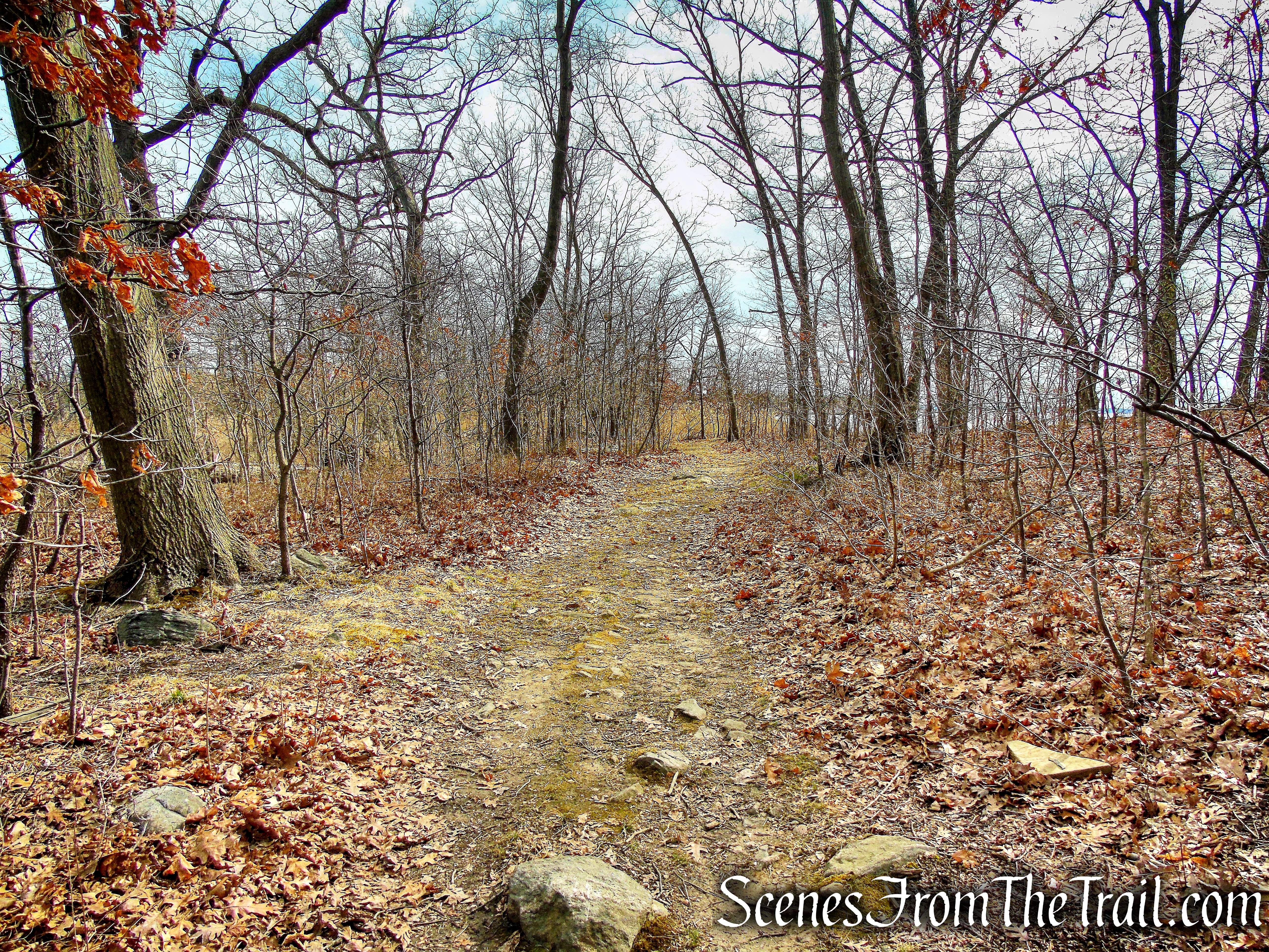 Hunter Island - Pelham Bay Park