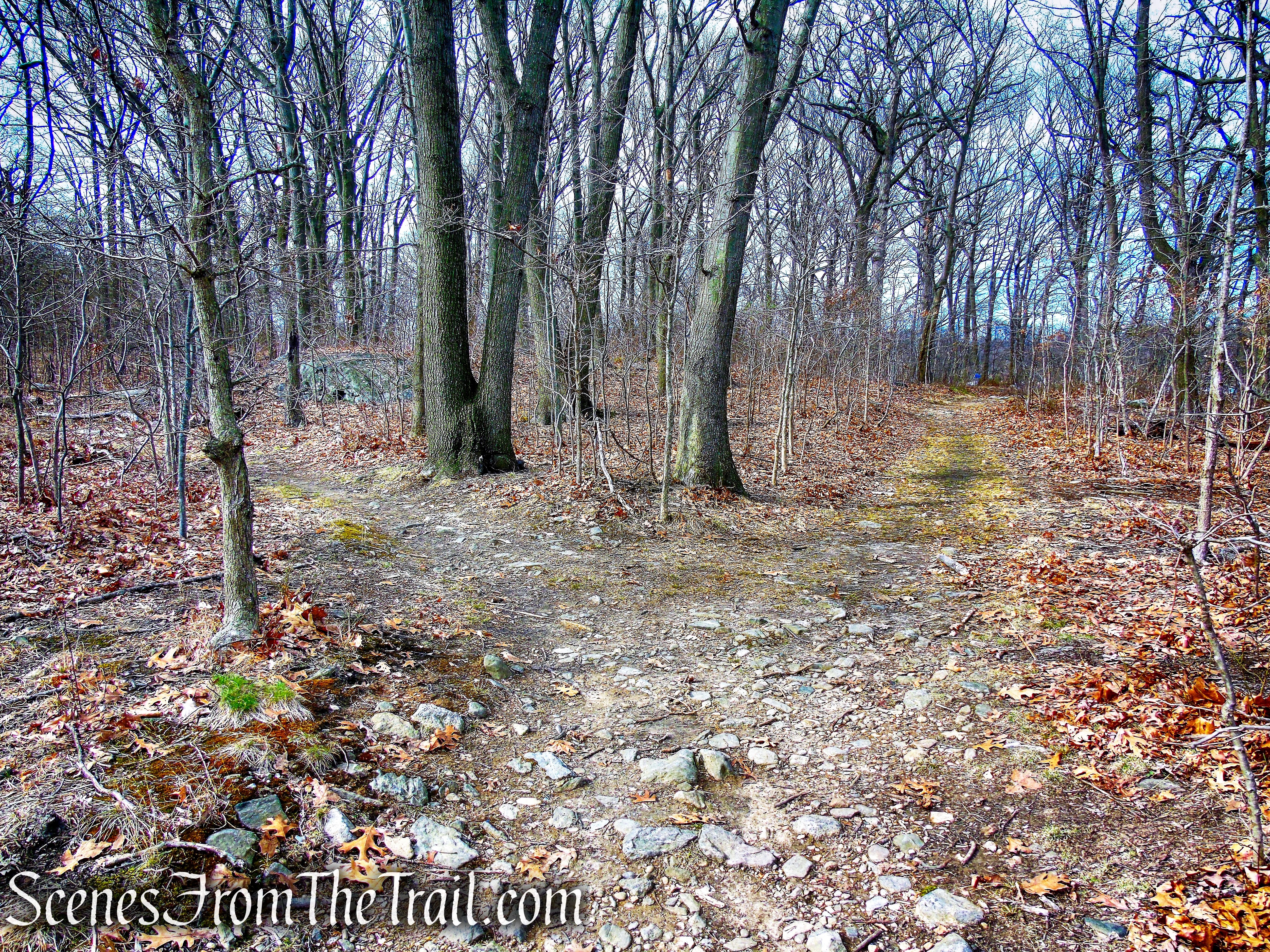 turn left on woods road