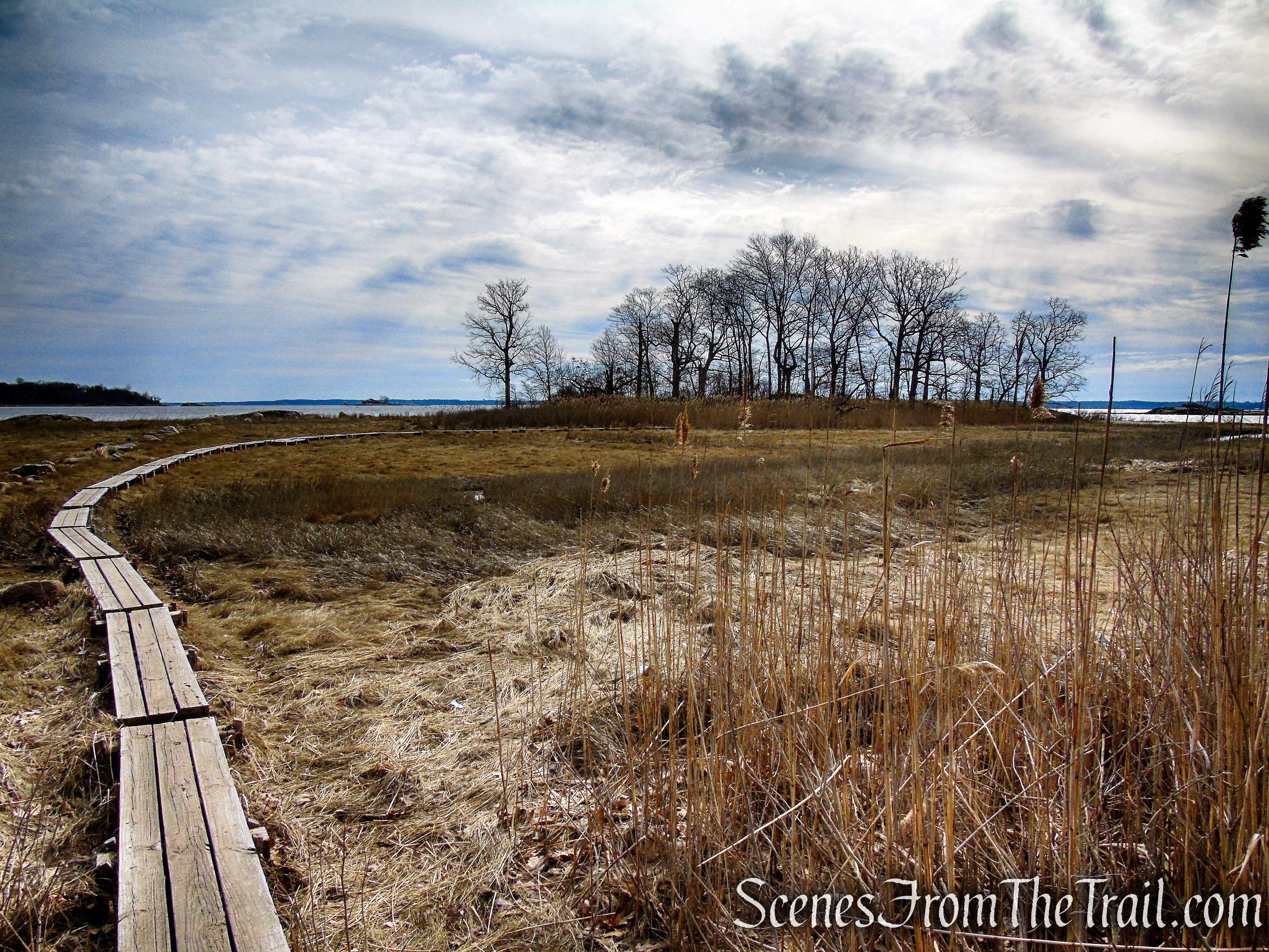 Salt Marsh - Hunter Island