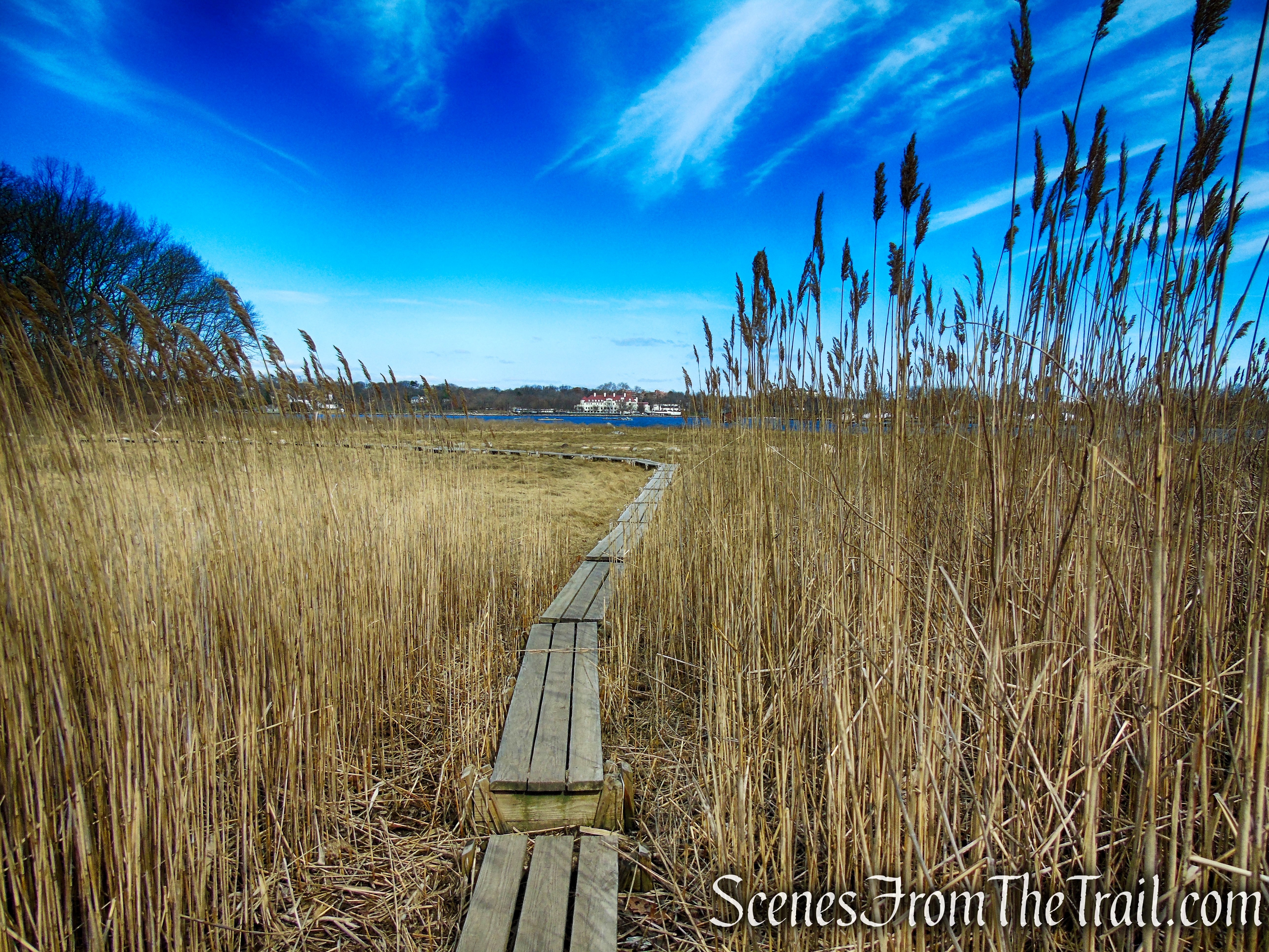 Salt Marsh - Hunter Island