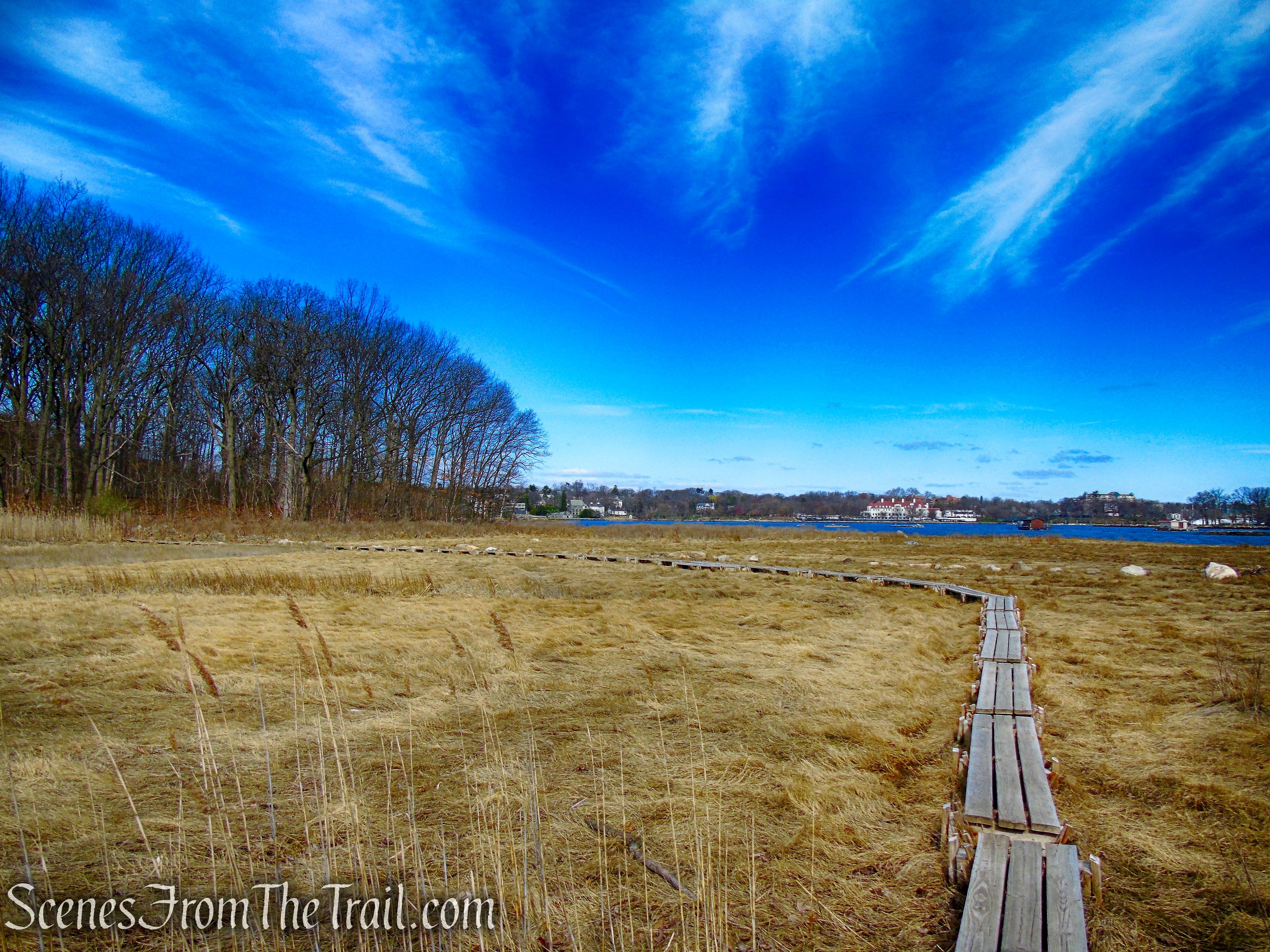 Salt Marsh - Hunter Island
