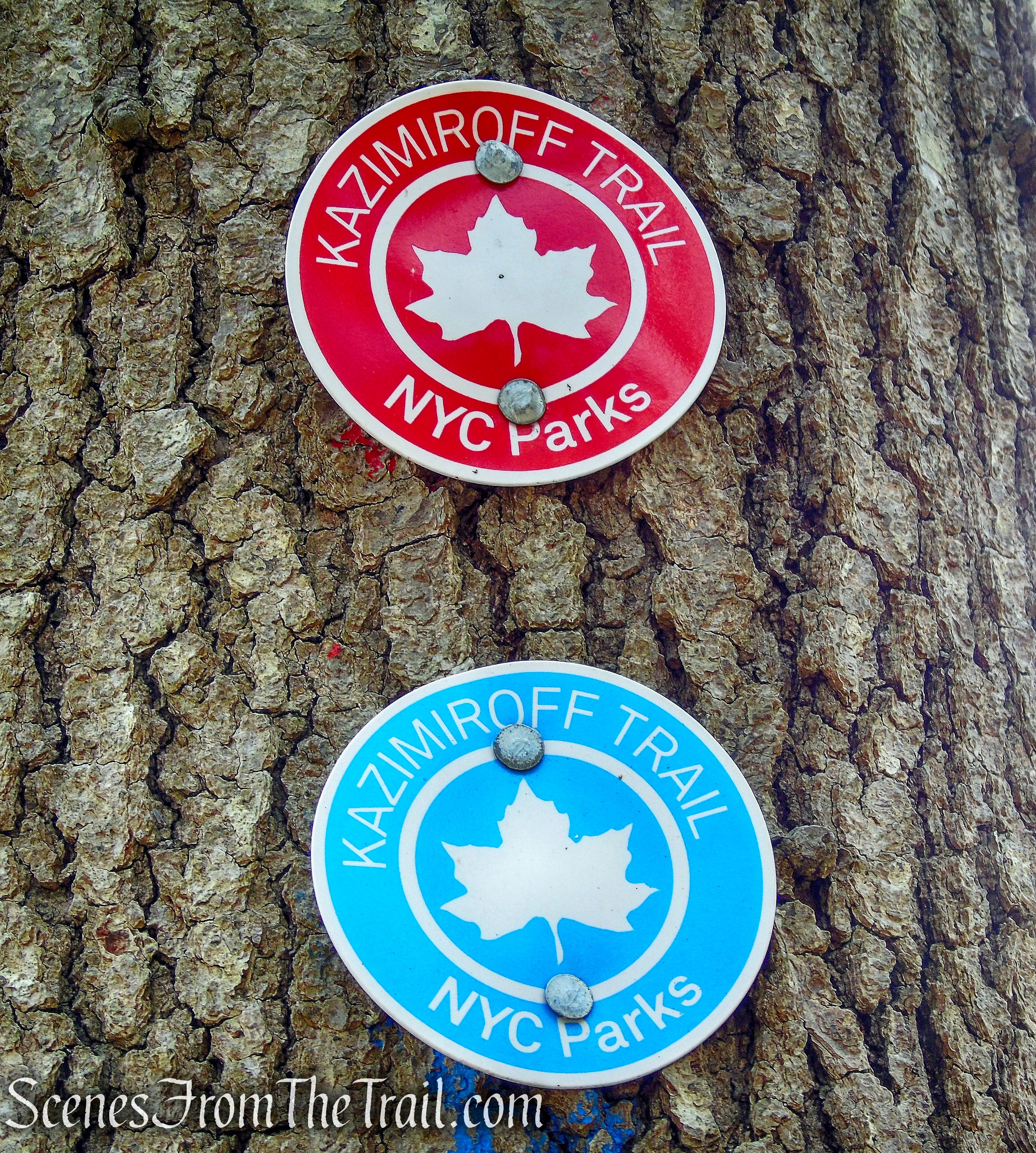 Kazimiroff Nature Trail - Hunter Island