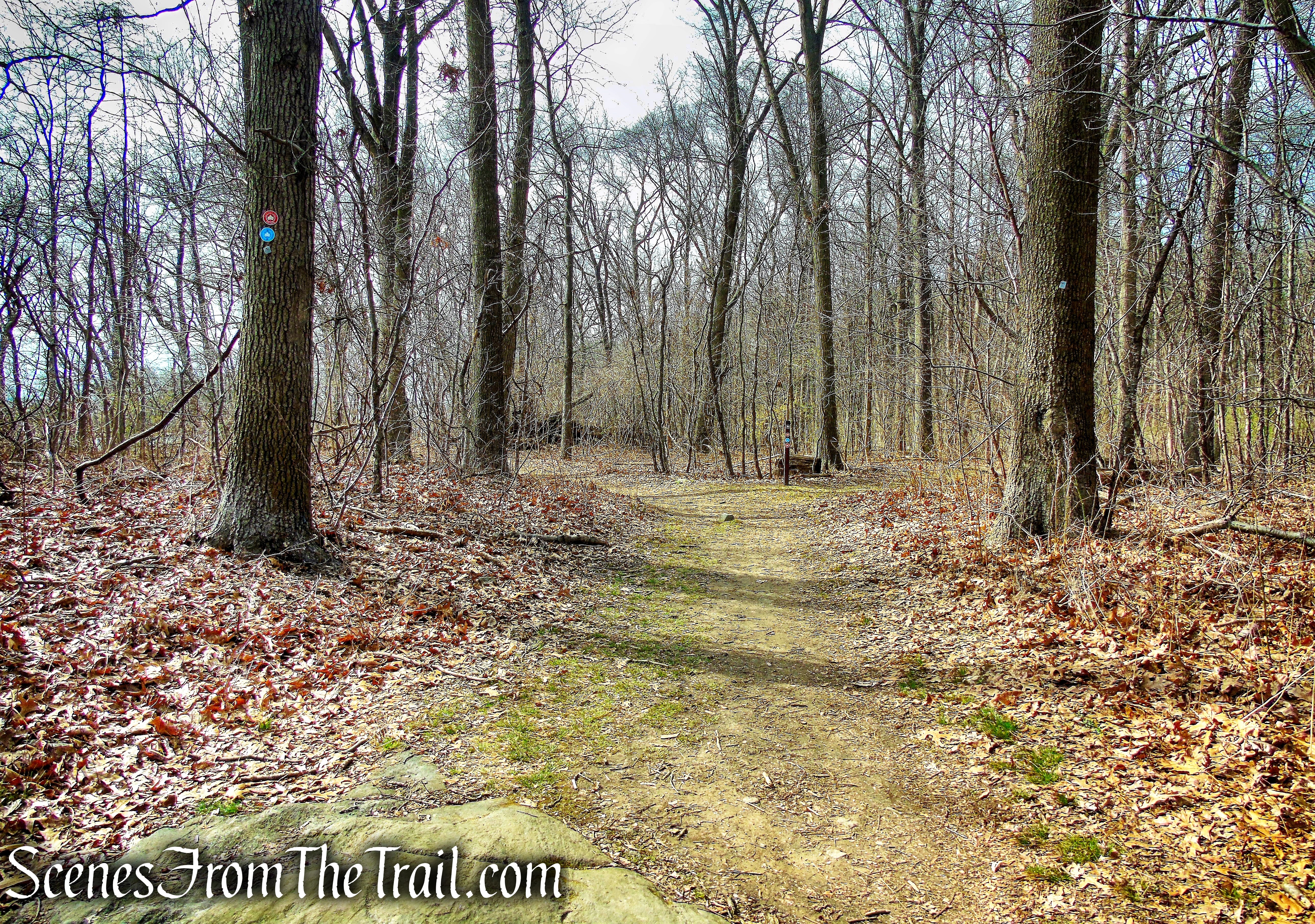 Kazimiroff Nature Trail- Hunter Island