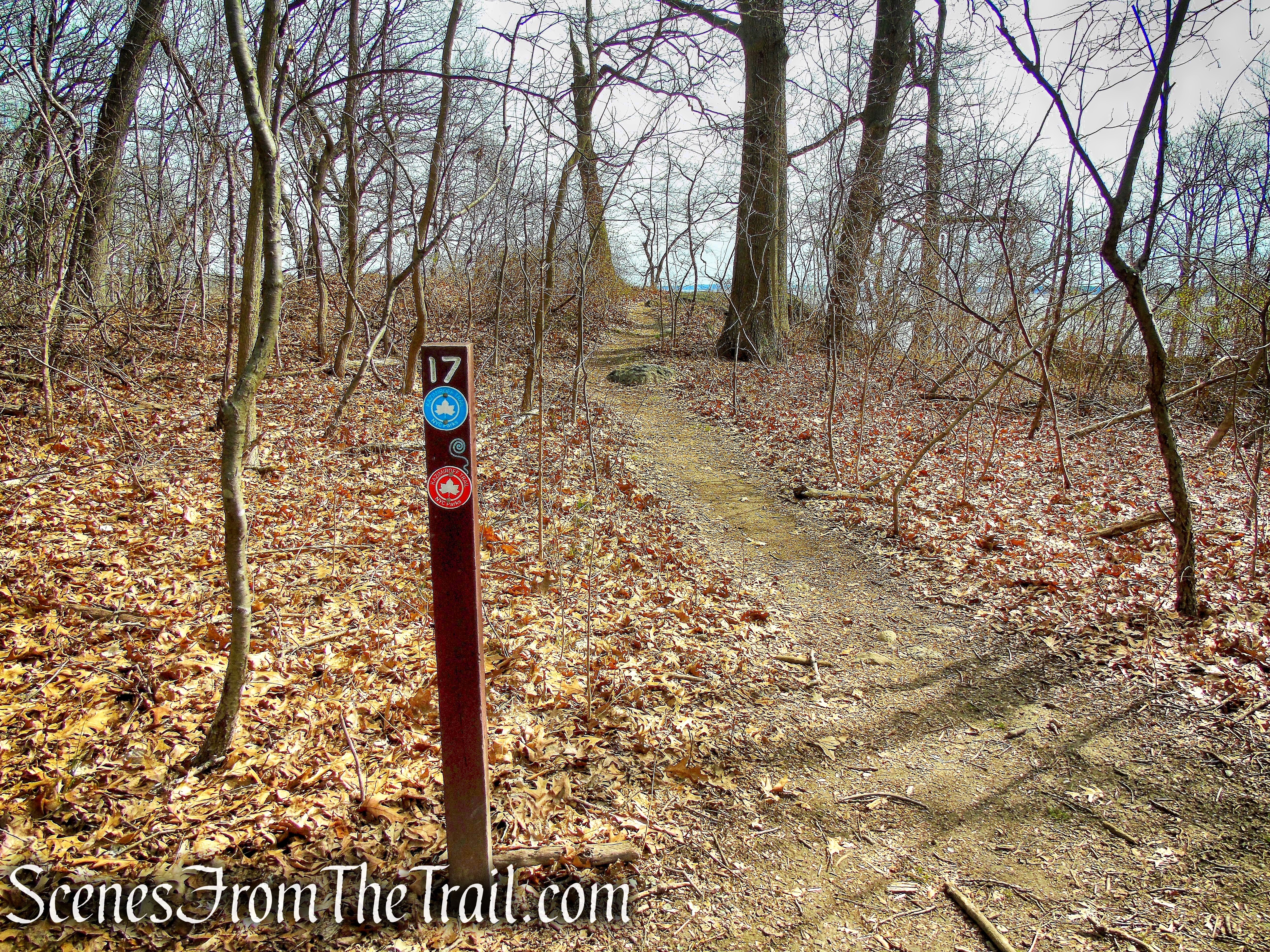 viewpoint - Kazimiroff Nature Trail