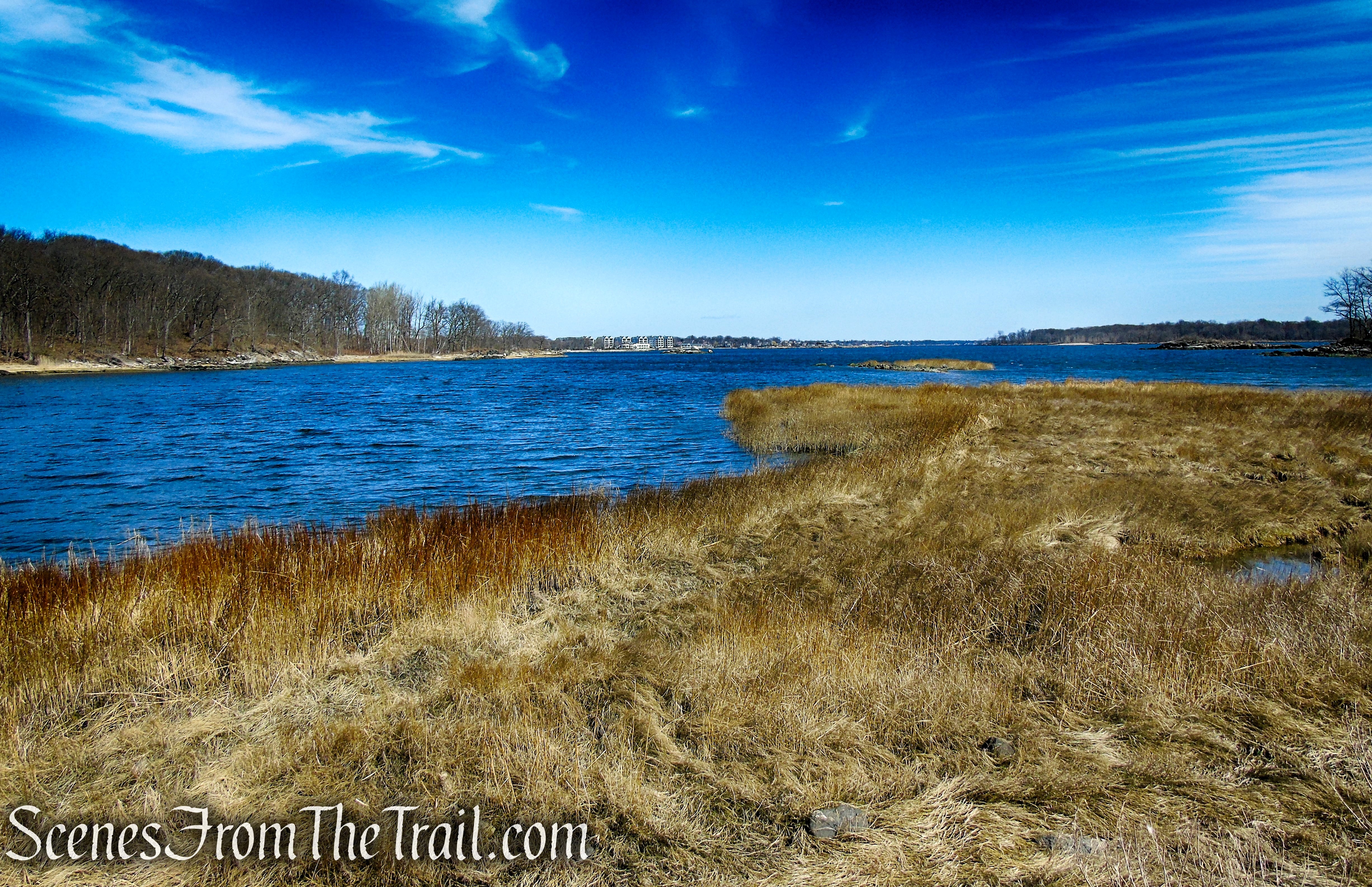 Salt Marsh - West Twin Island