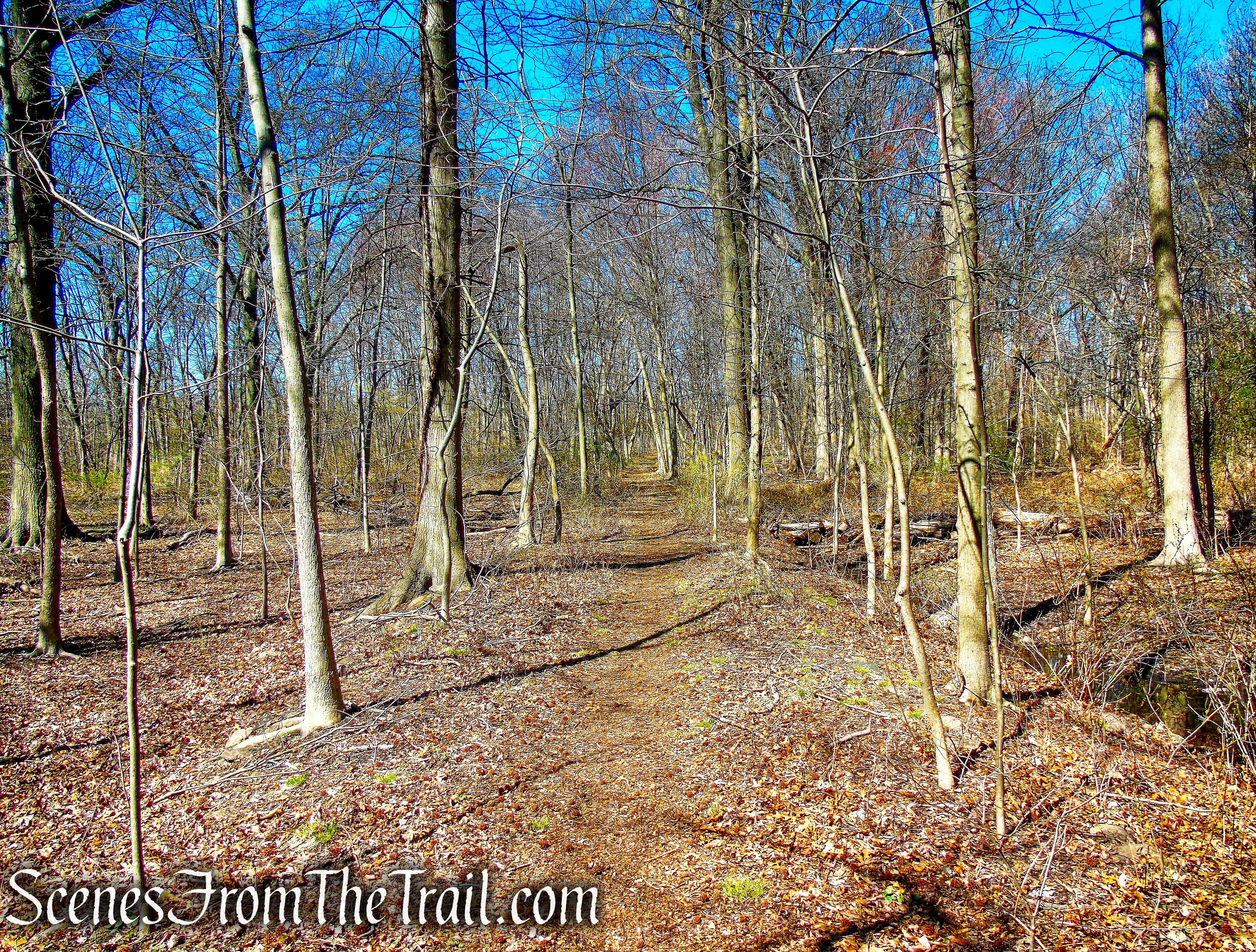 unmarked trail - Hunter Island