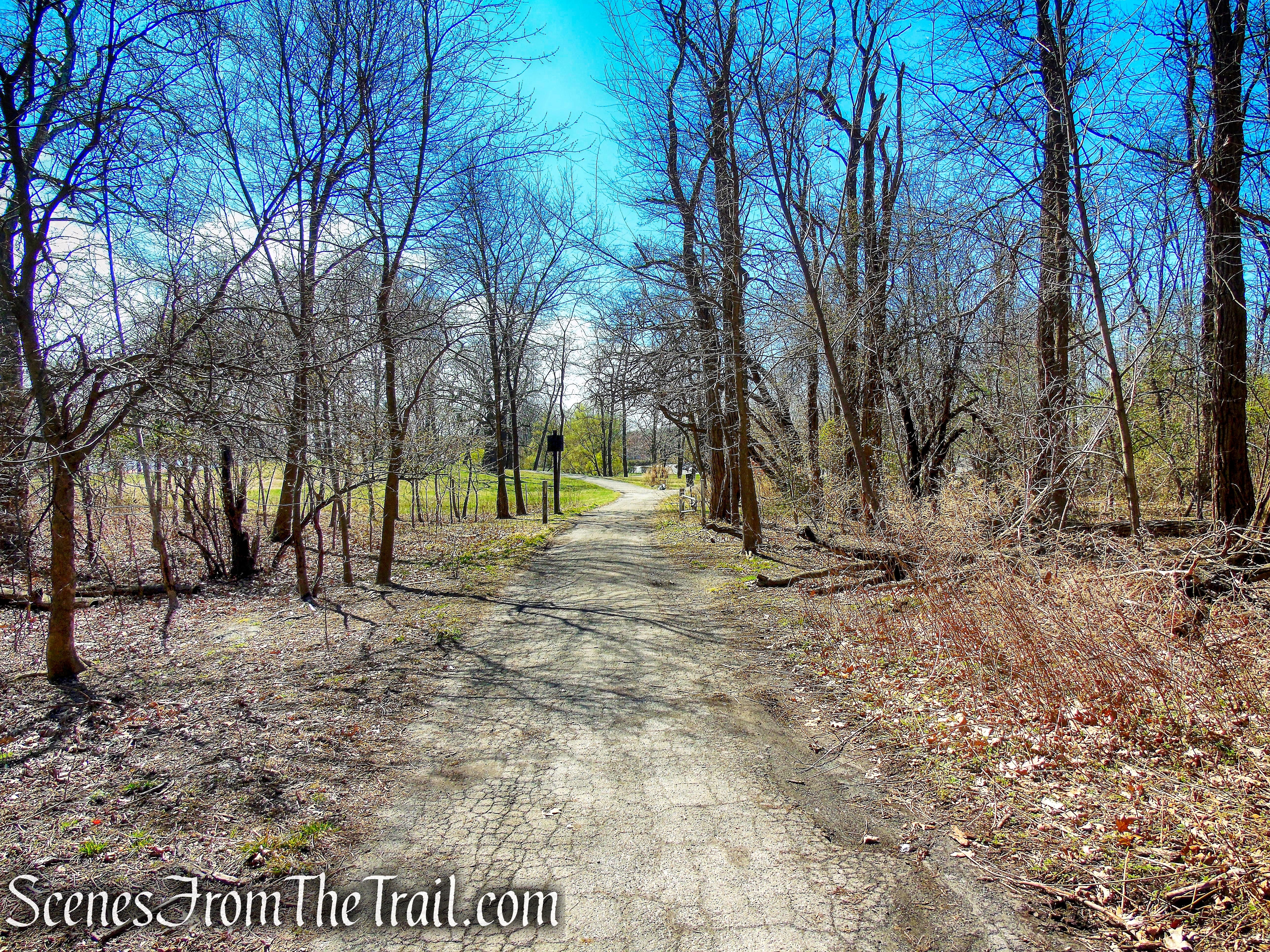 paved road - Hunter Island