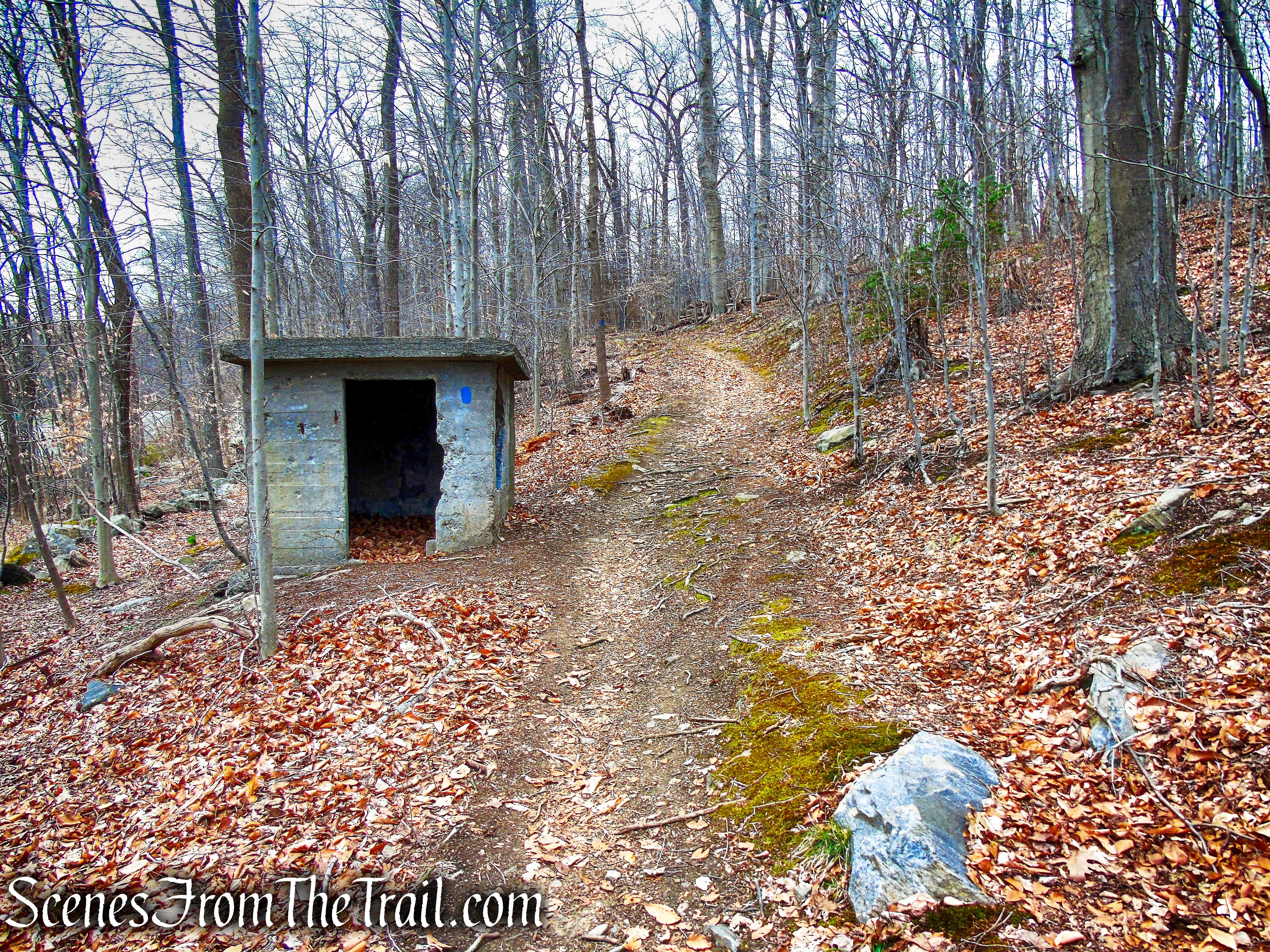 Blue Trail - Glenville Woods Park Preserve