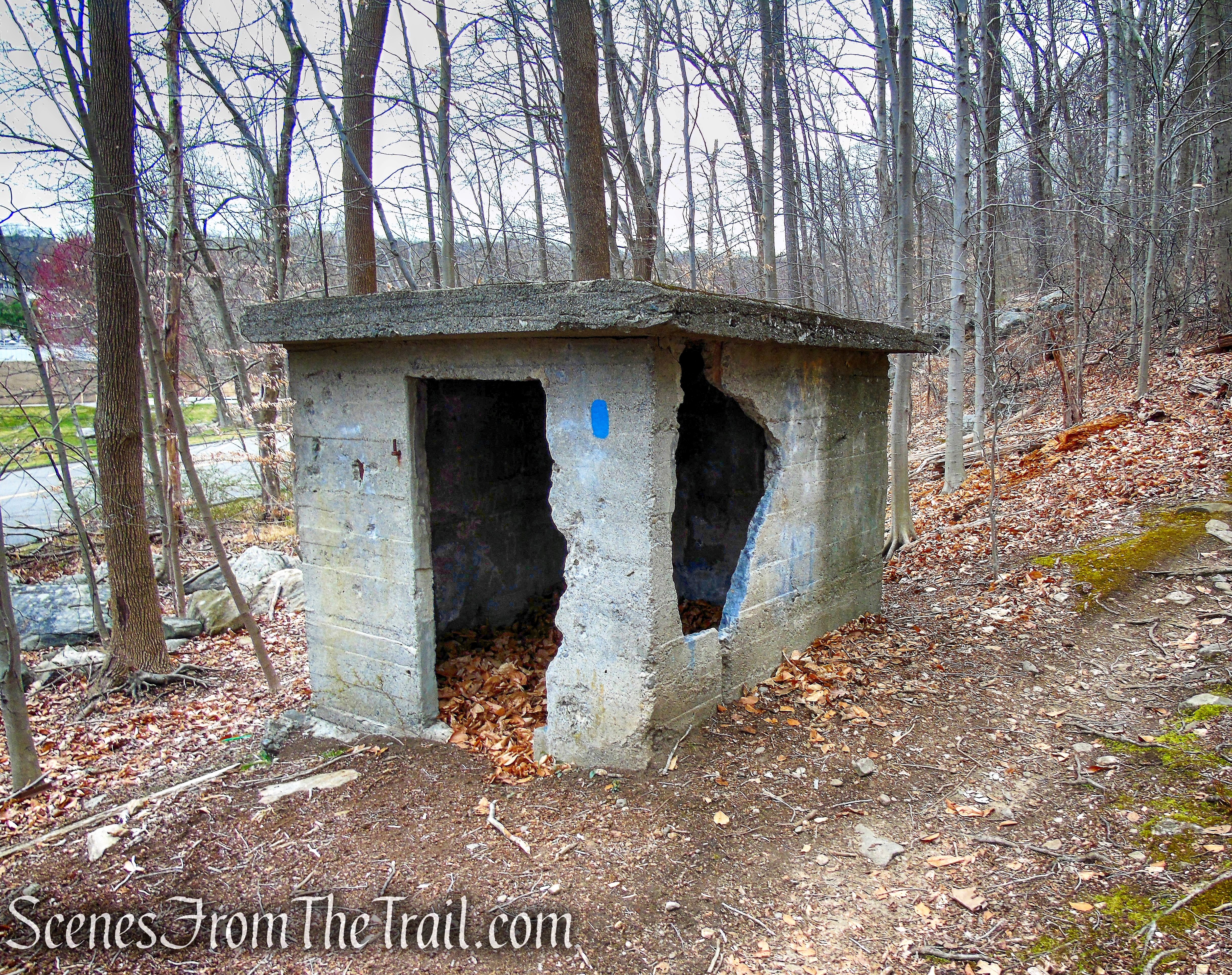 Blue Trail - Glenville Woods Park Preserve