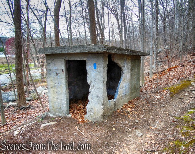 Blue Trail - Glenville Woods Park Preserve
