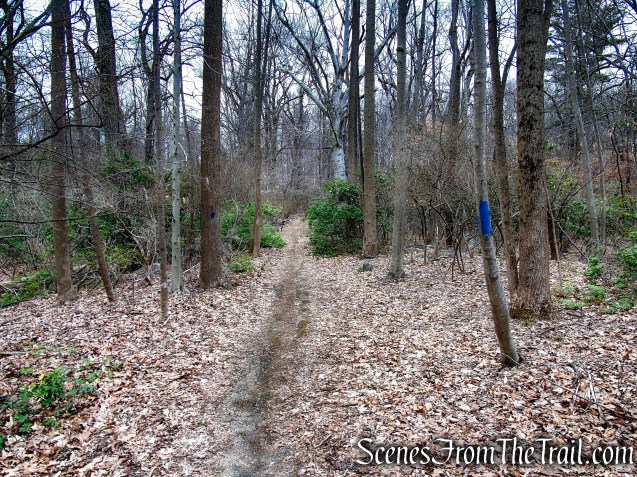 Blue Trail - Glenville Woods Park Preserve