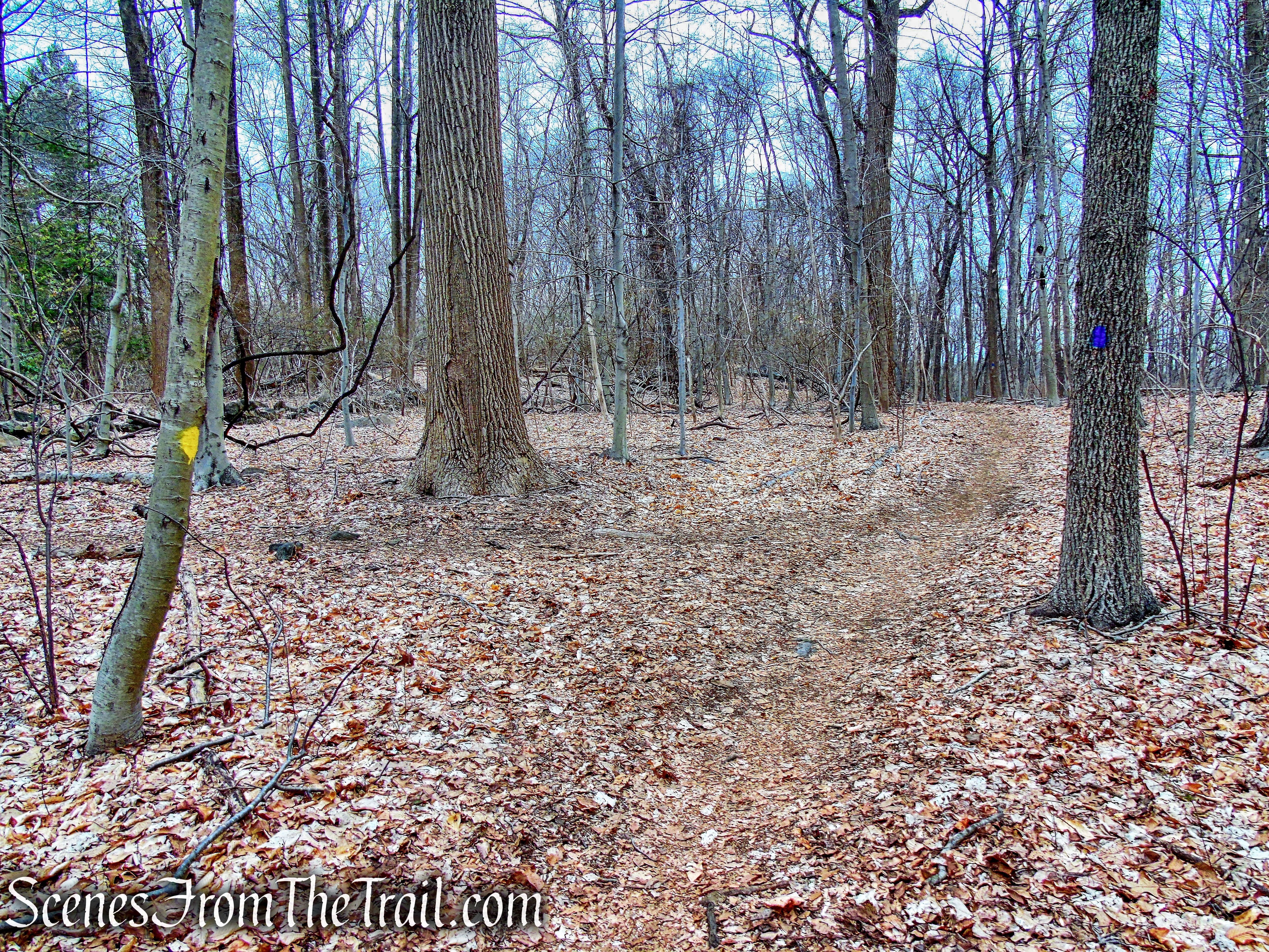 Blue Trail - Buttermilk Ridge County Park