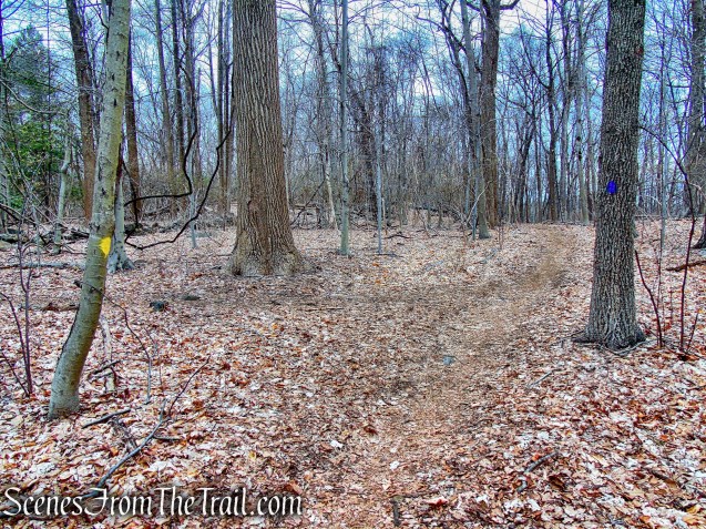Blue Trail - Buttermilk Ridge County Park