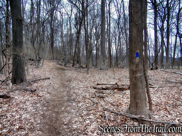 Blue Trail - Buttermilk Ridge County Park