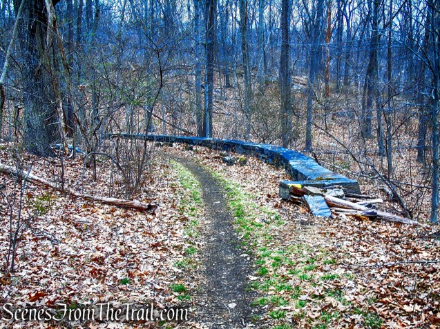 Blue Trail - Buttermilk Ridge County Park