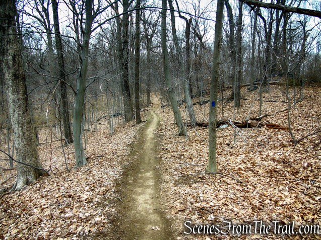 Blue Trail - Buttermilk Ridge County Park