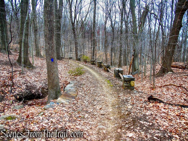 Blue Trail - Buttermilk Ridge County Park