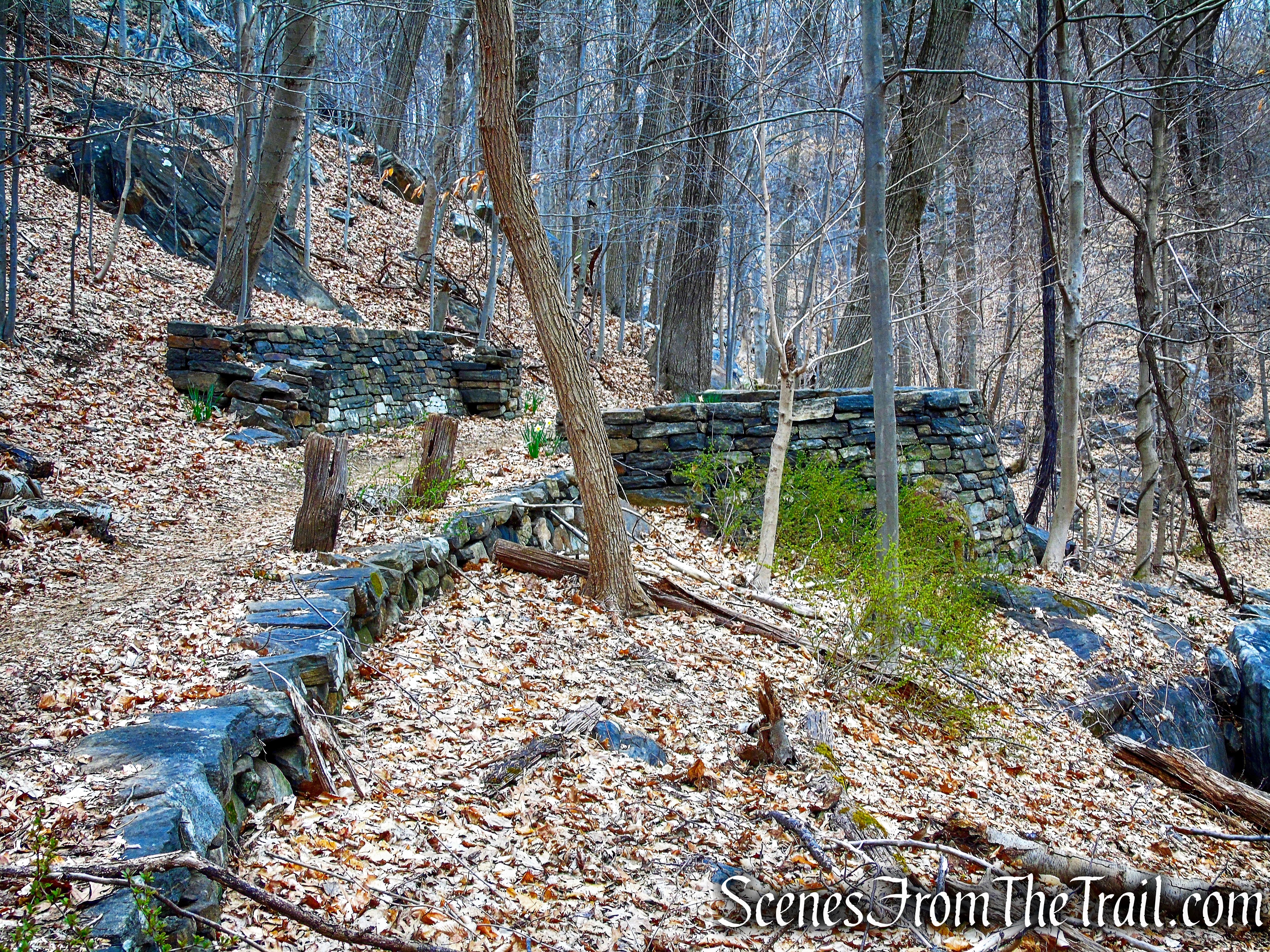 Blue Trail - Buttermilk Ridge County Park