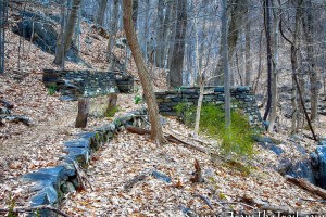 Blue Trail - Buttermilk Ridge County Park