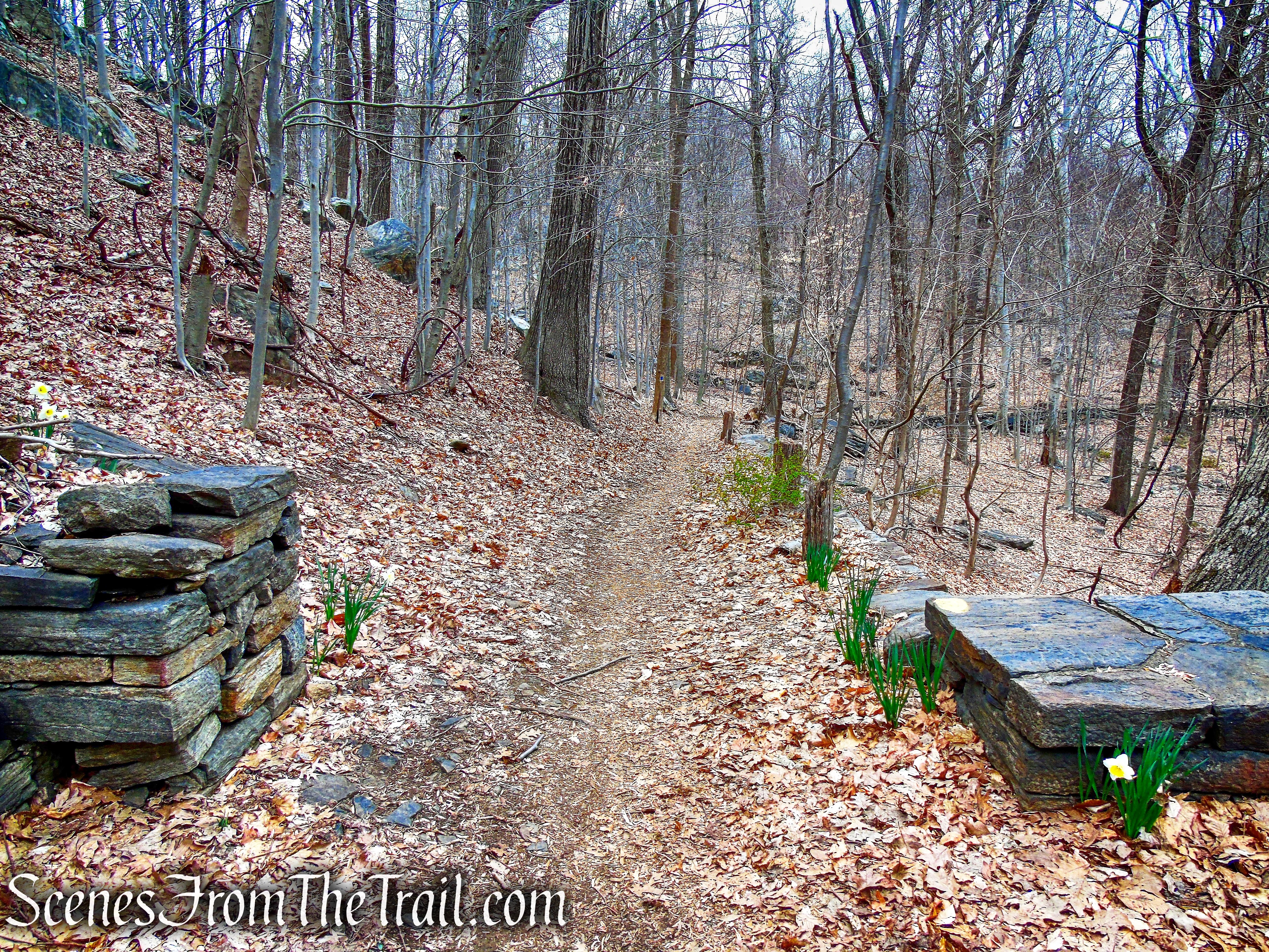 Blue Trail - Buttermilk Ridge County Park