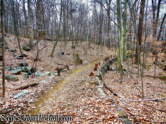 Blue Trail - Buttermilk Ridge County Park