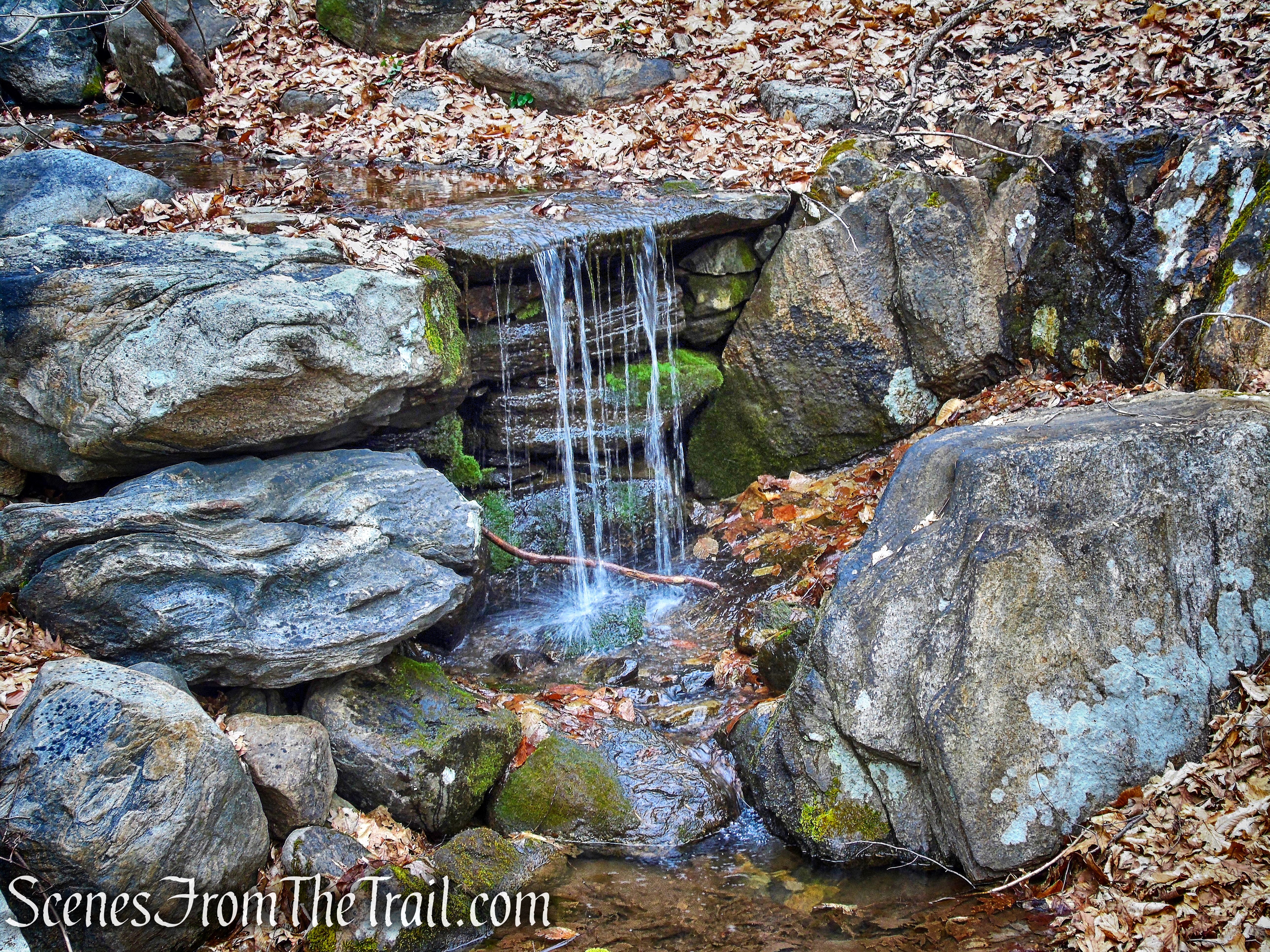 Blue Trail - Buttermilk Ridge County Park