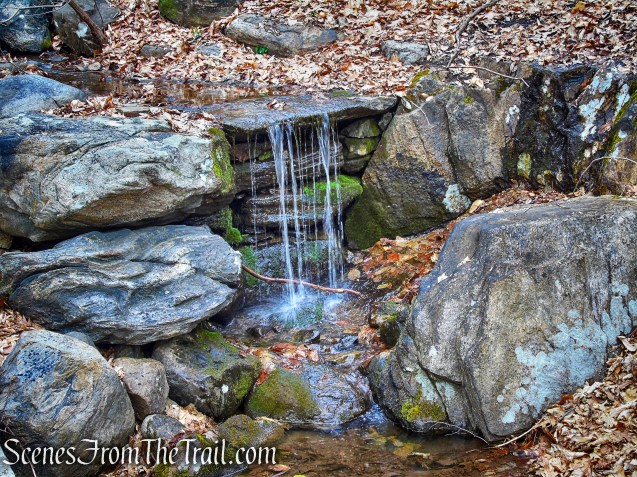 Blue Trail - Buttermilk Ridge County Park