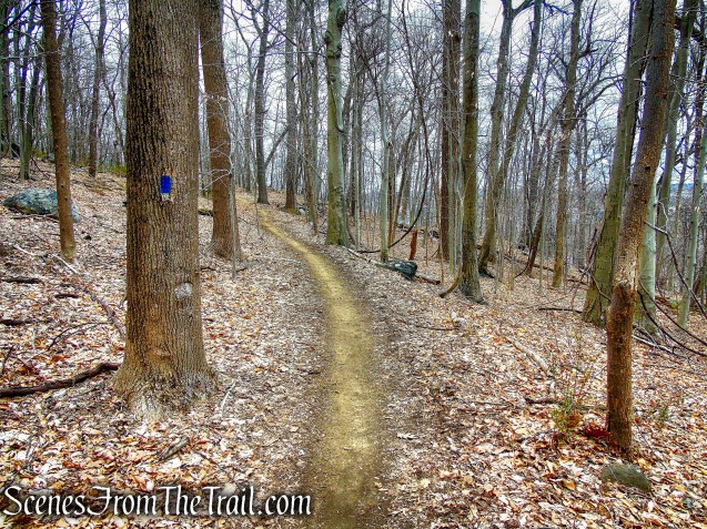 Blue Trail - Buttermilk Ridge County Park