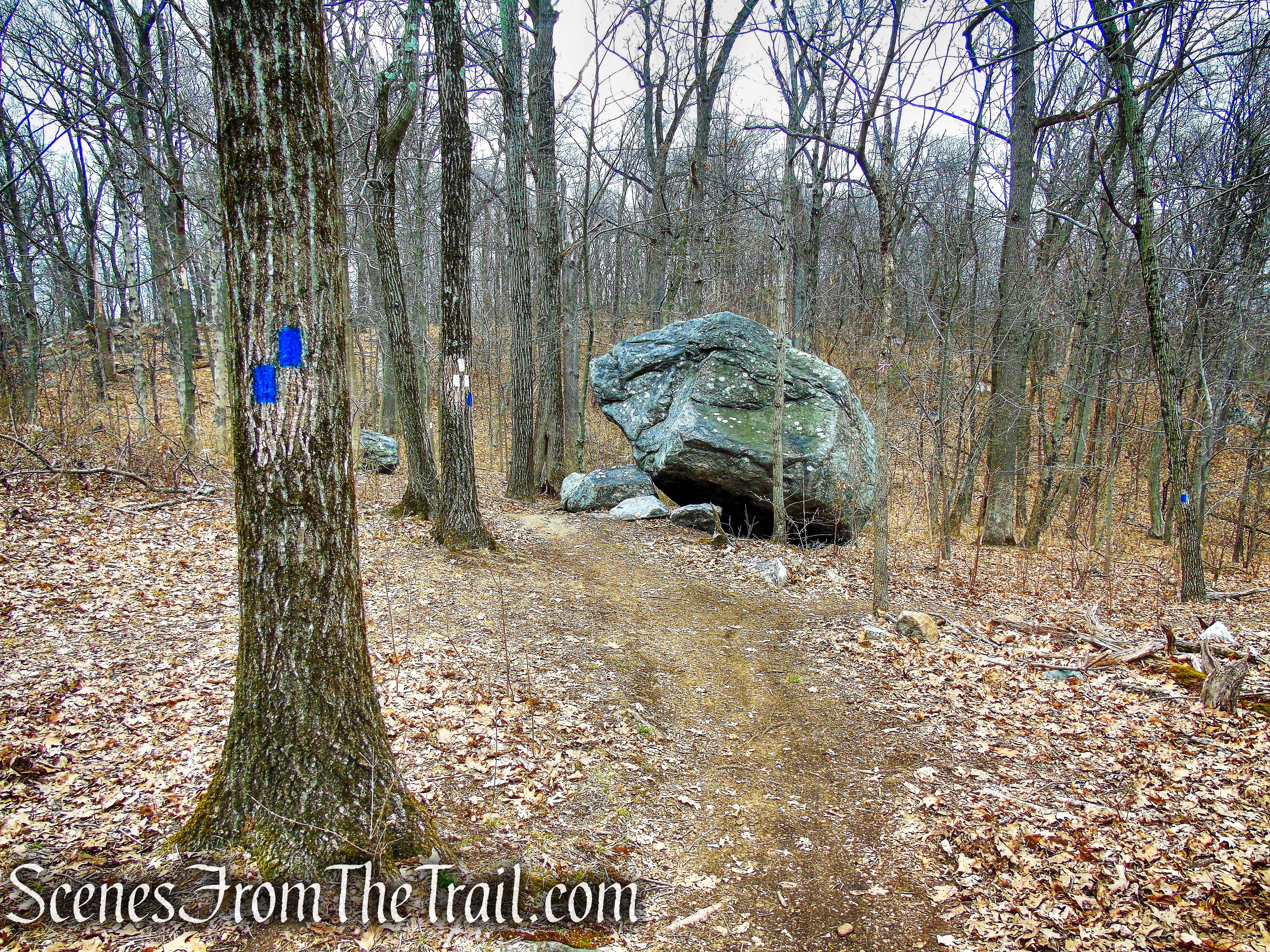 Blue Trail - Buttermilk Ridge County Park