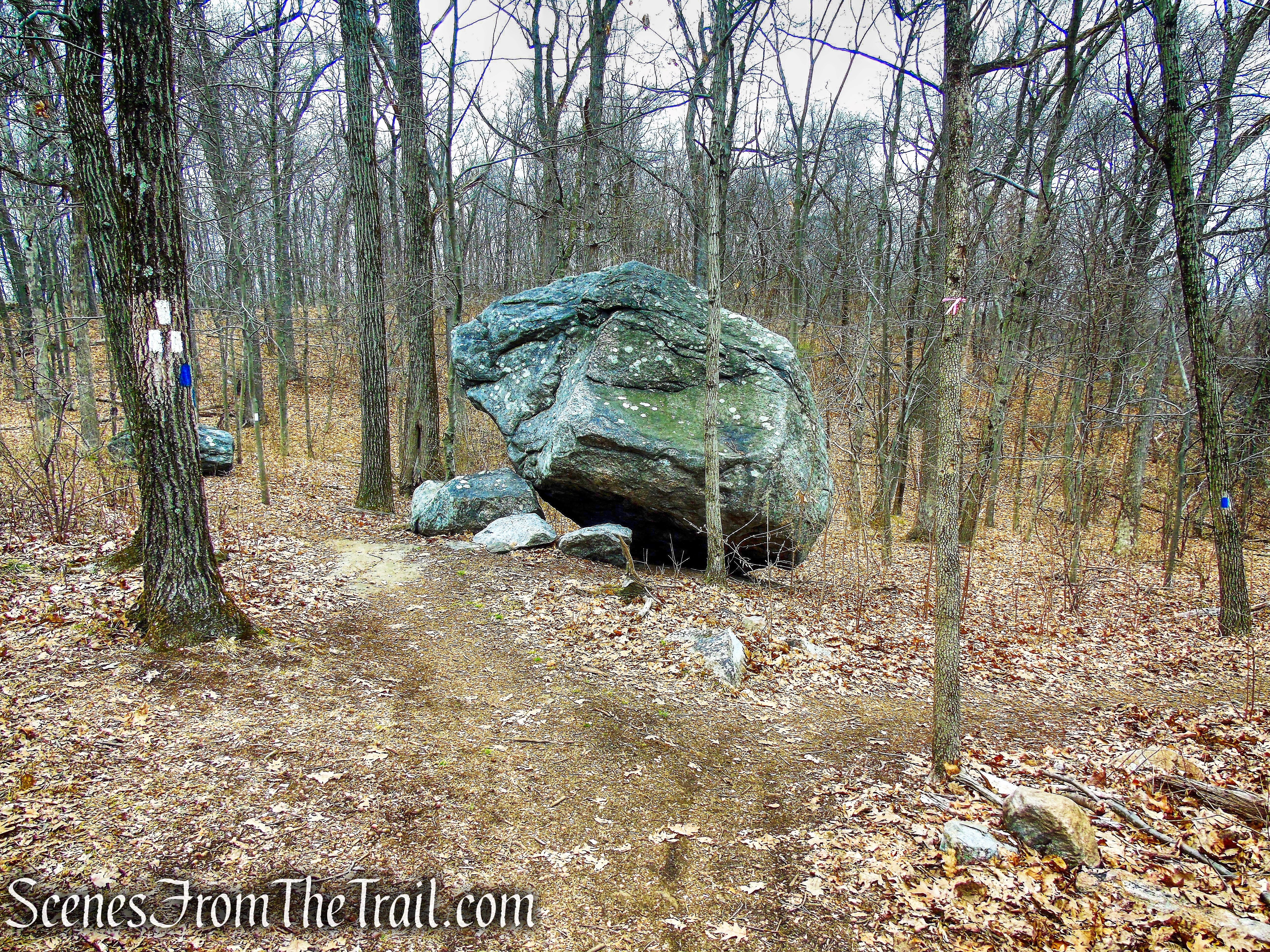 Blue Trail - Buttermilk Ridge County Park