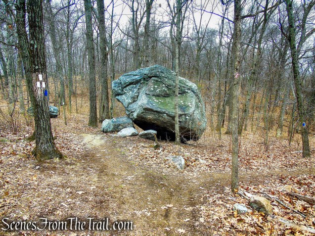 Blue Trail - Buttermilk Ridge County Park