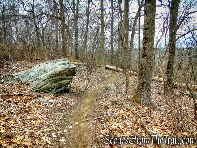 Blue Trail - Buttermilk Ridge County Park