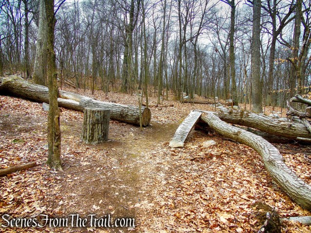 Blue Trail - Buttermilk Ridge County Park