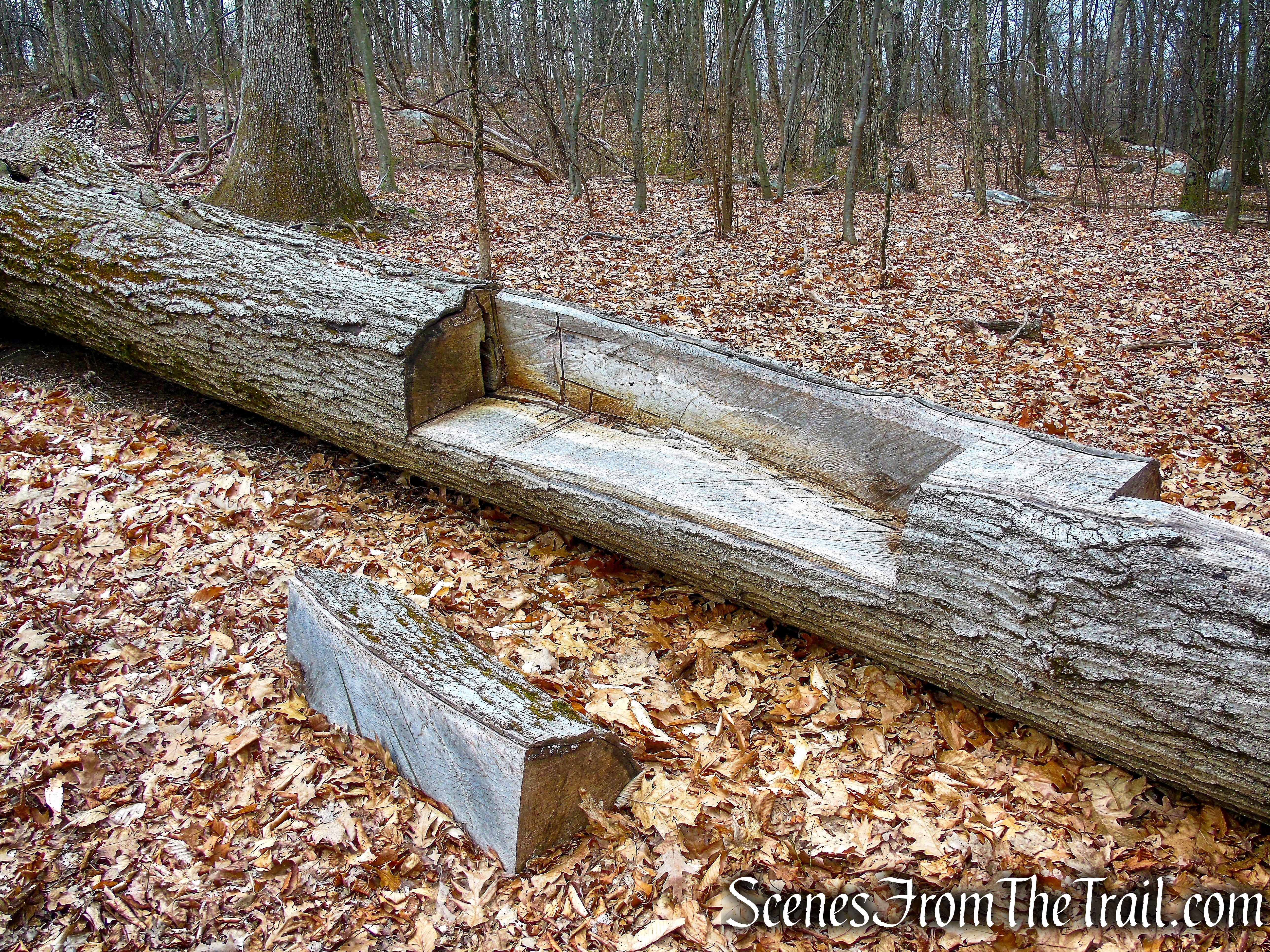 Blue Trail - Buttermilk Ridge County Park