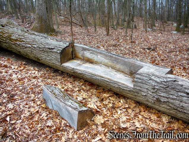 Blue Trail - Buttermilk Ridge County Park