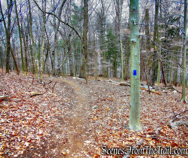 Blue Trail - Buttermilk Ridge County Park