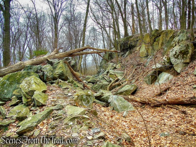 Blue Trail - Buttermilk Ridge County Park