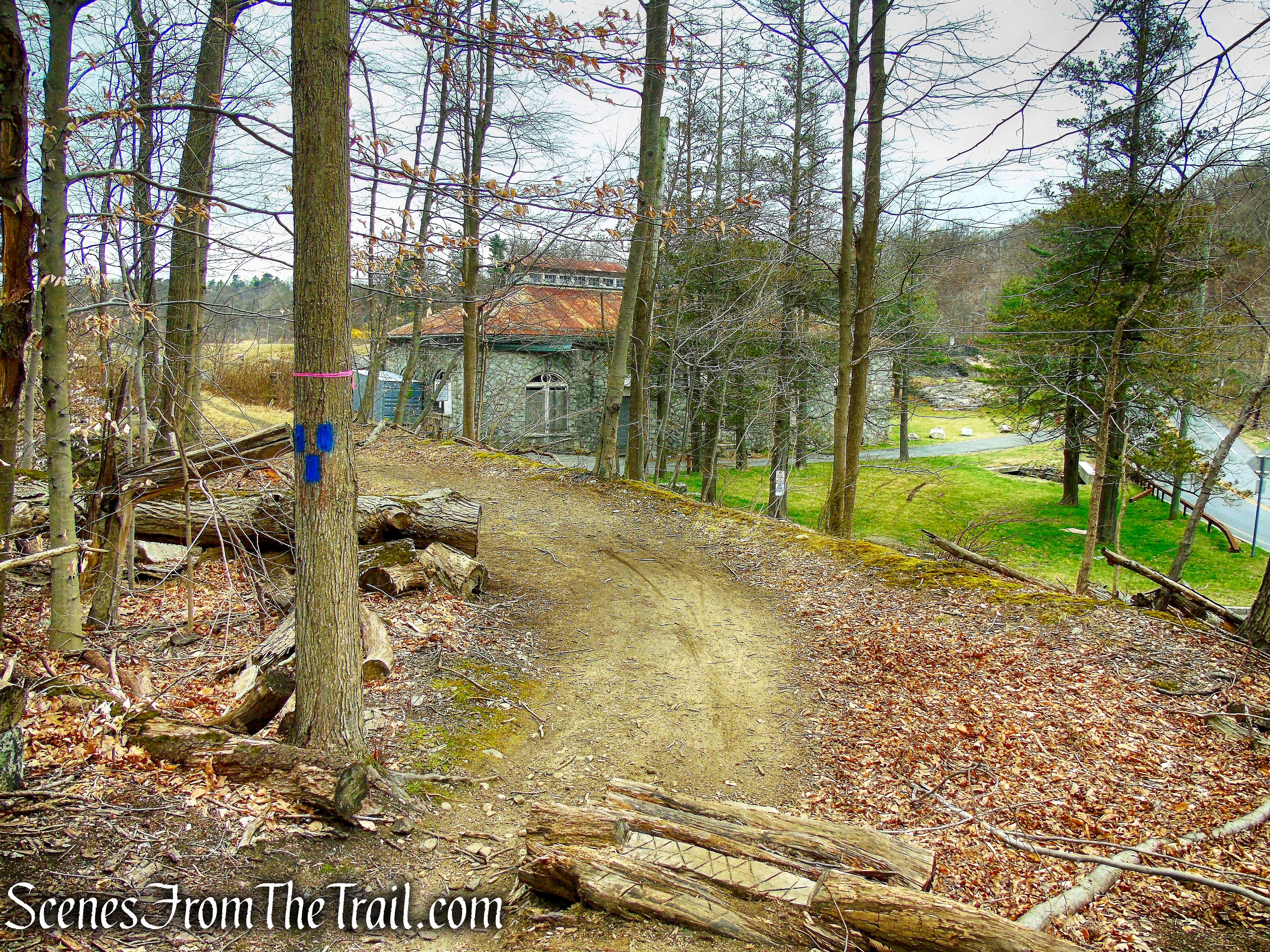 terminus of Blue Trail - Buttermilk Ridge County Park