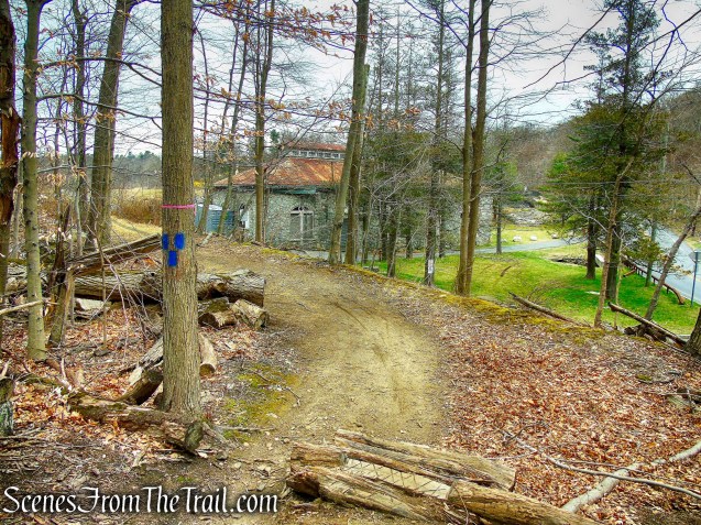 terminus of Blue Trail - Buttermilk Ridge County Park