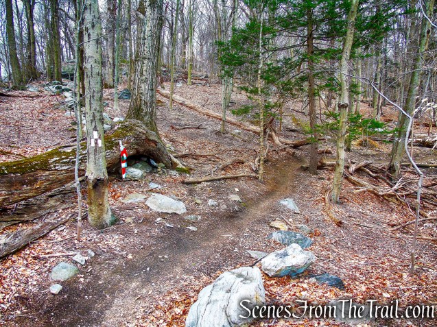 start of White Trail