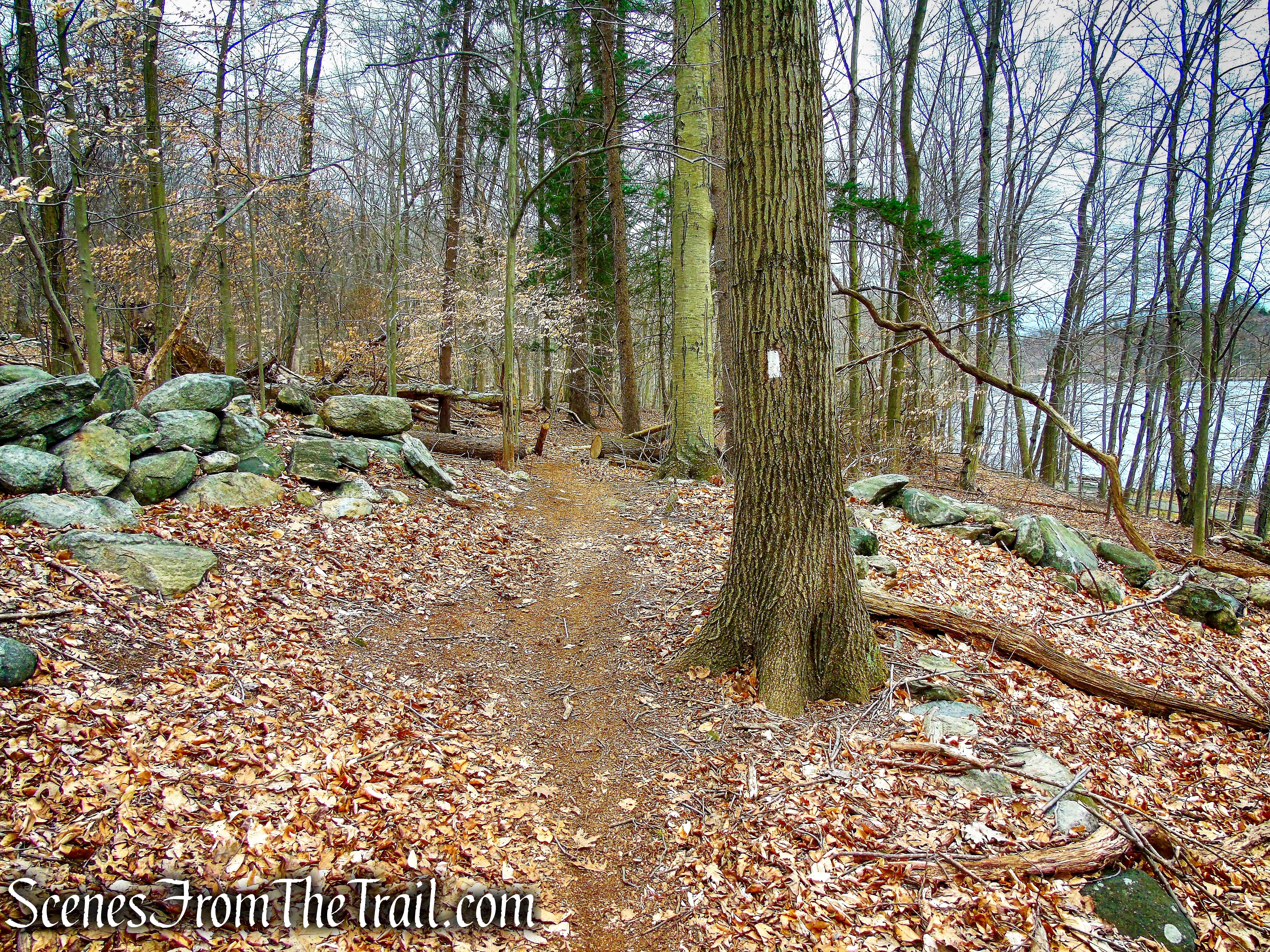 White Trail