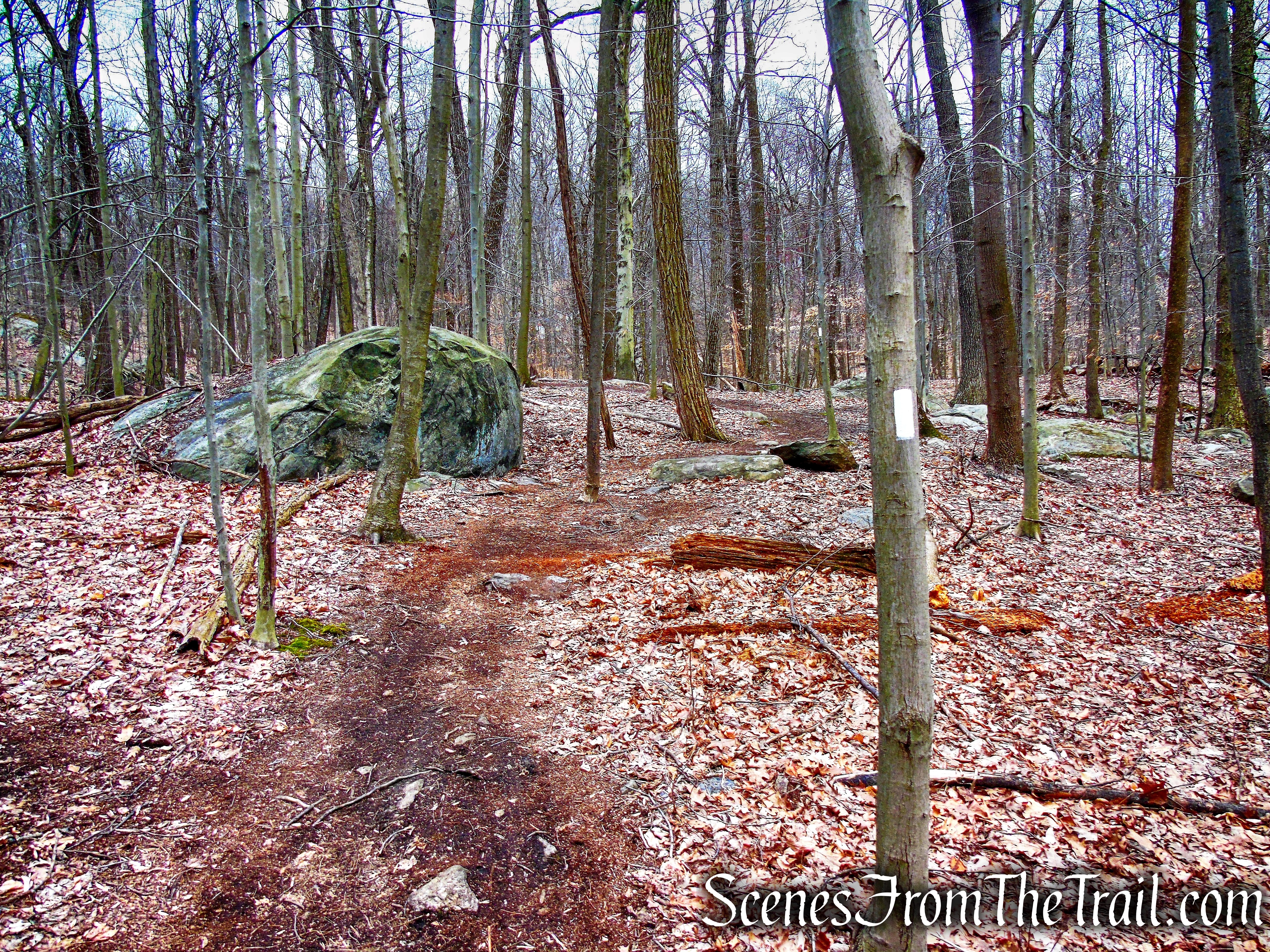 White Trail