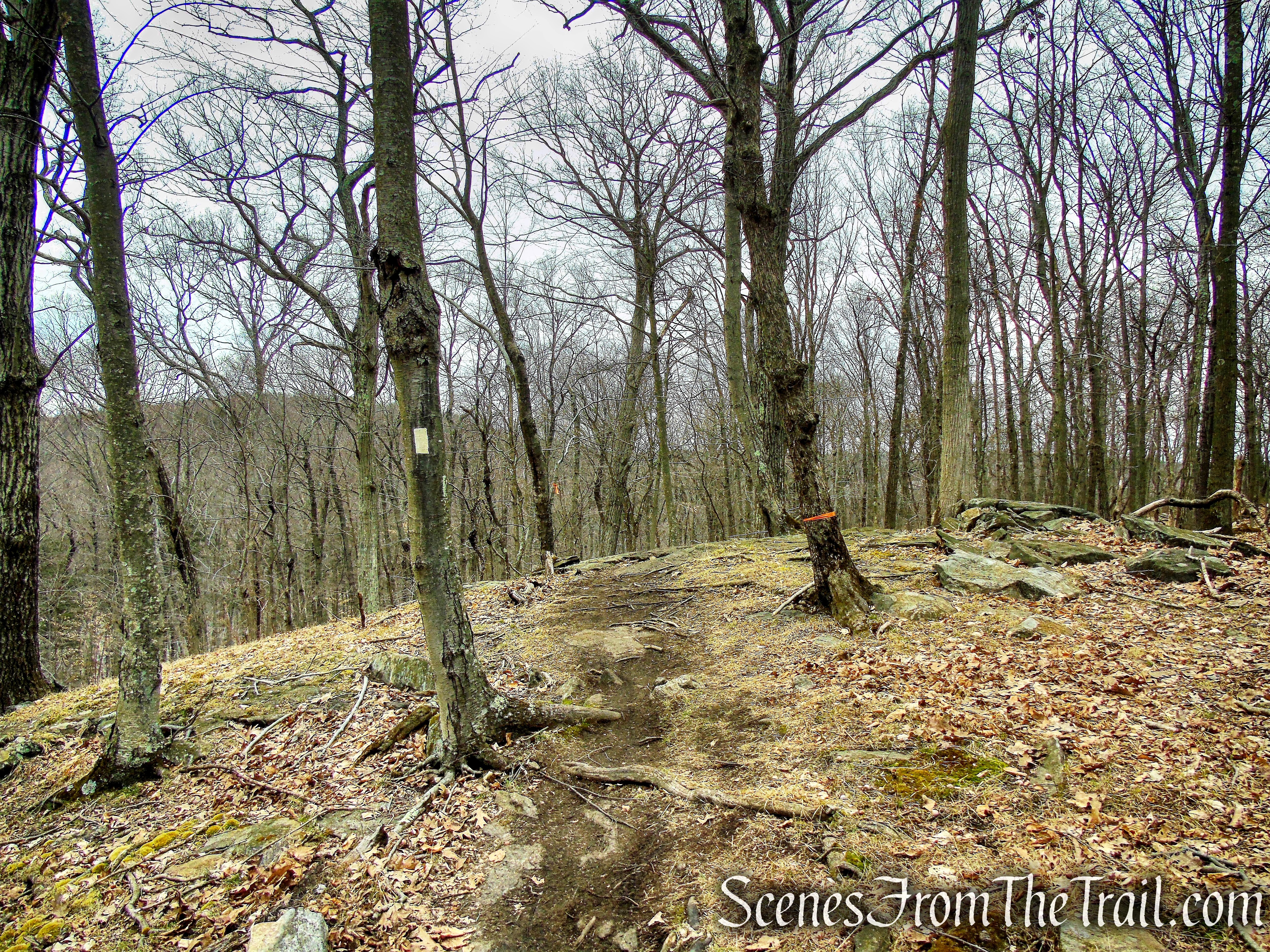 White Trail