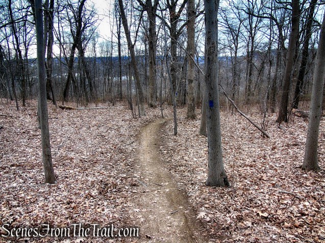 Blue Trail - Glenville Woods Park Preserve