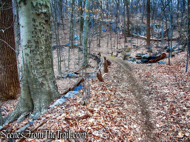 Blue Trail - Glenville Woods Park Preserve