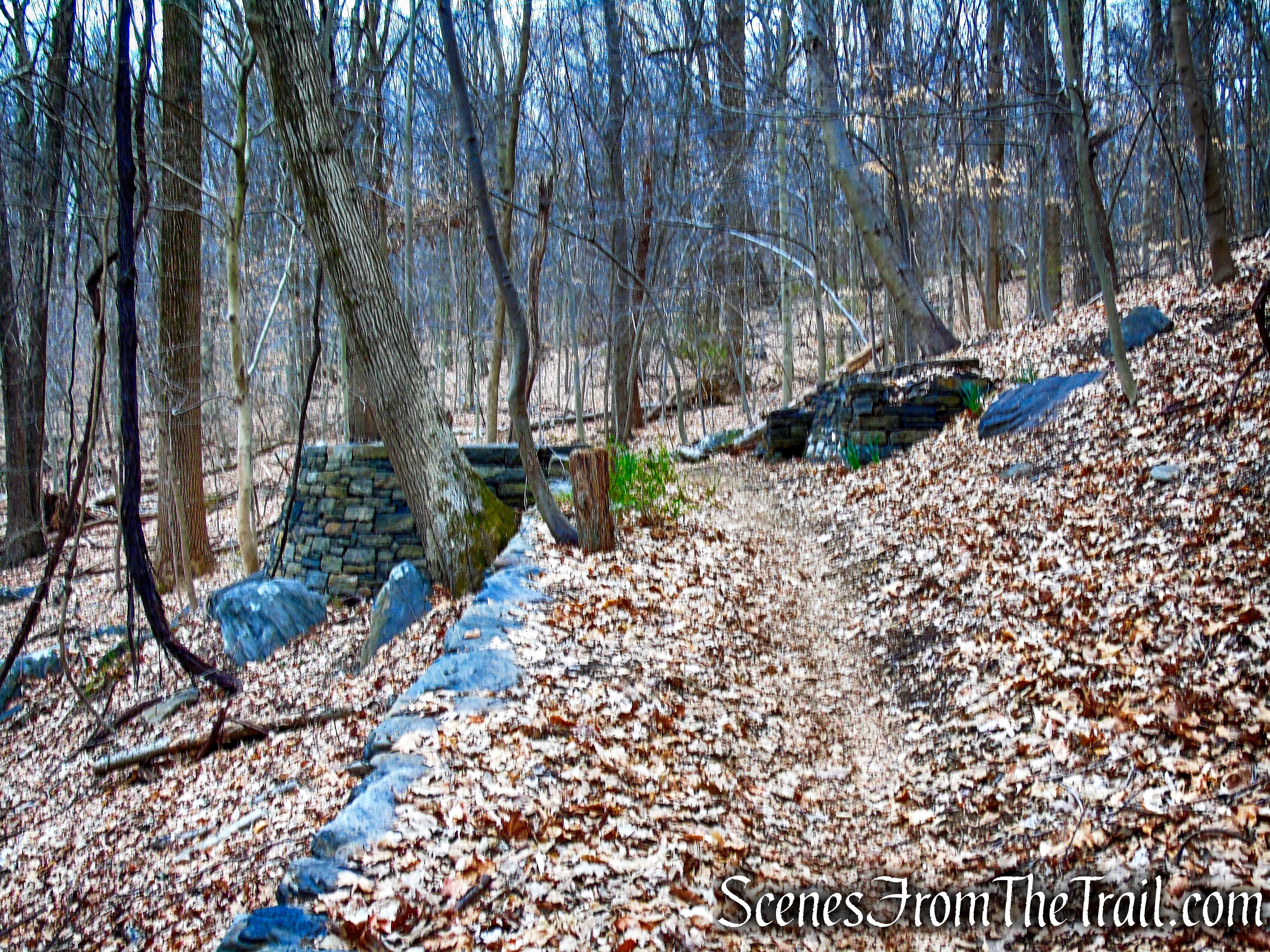 Blue Trail - Glenville Woods Park Preserve