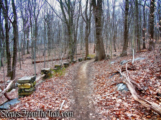 Blue Trail - Glenville Woods Park Preserve
