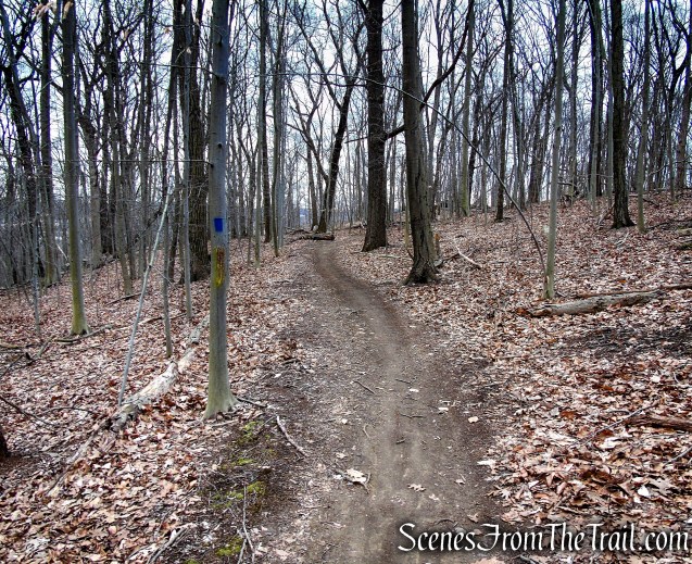 Blue Trail - Glenville Woods Park Preserve