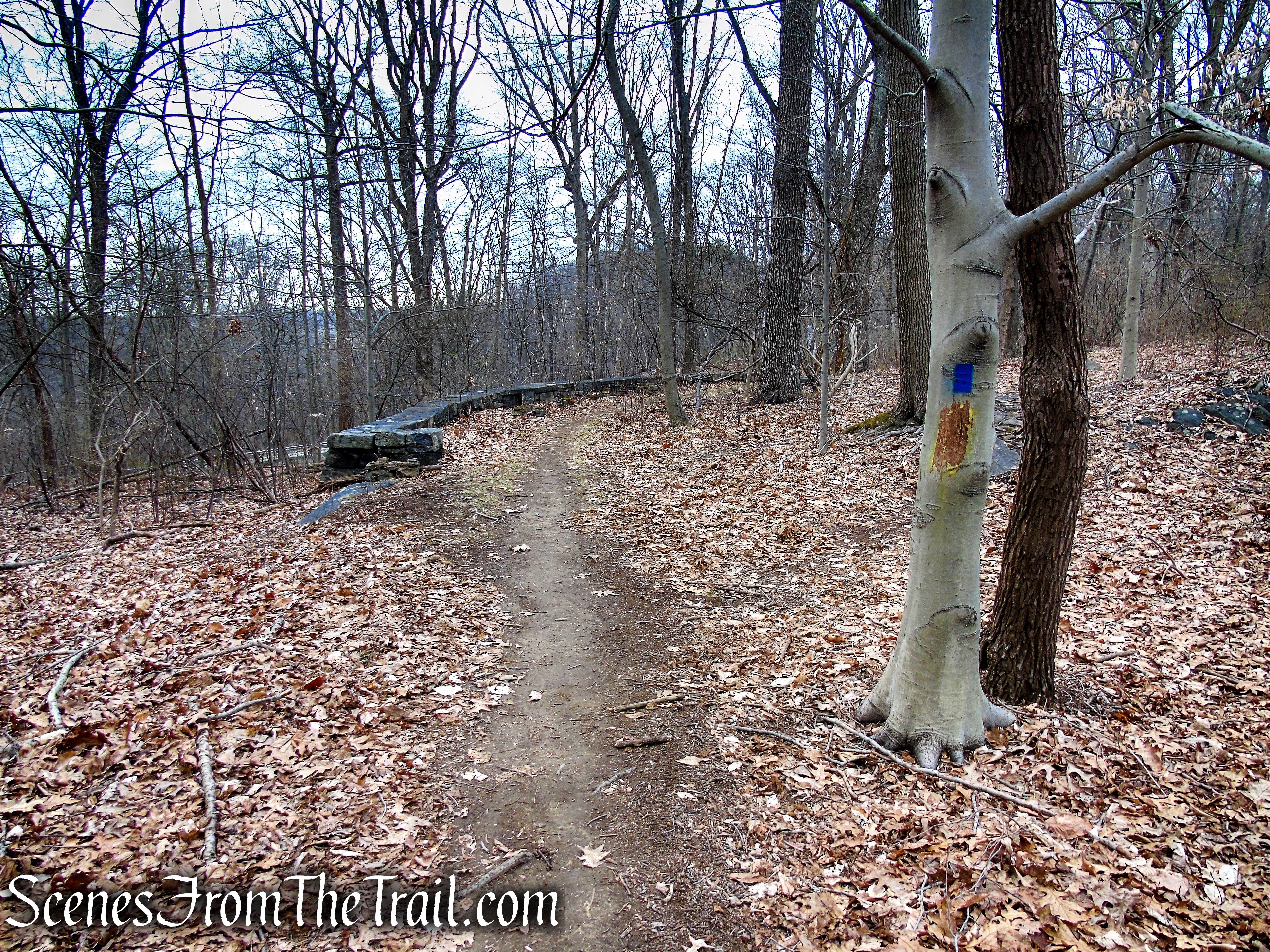 Blue Trail - Glenville Woods Park Preserve