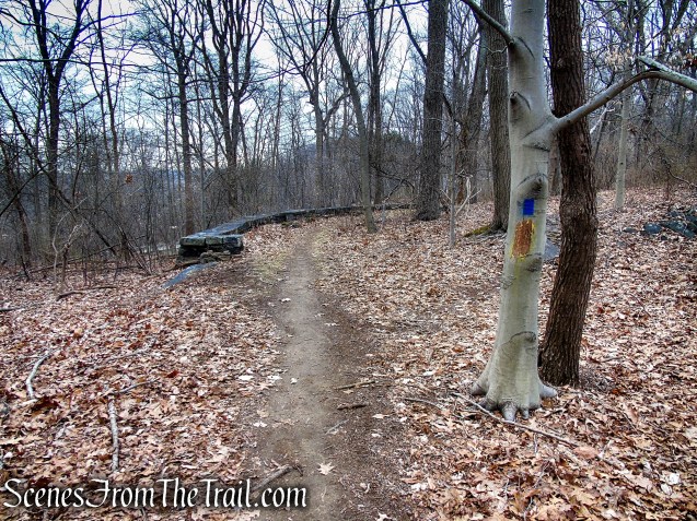 Blue Trail - Glenville Woods Park Preserve